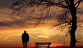 A man standing outside at sunset under a tree.&nbsp;Image from Pixabay.&nbsp;